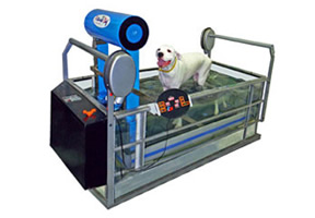 Hidroesteira para animais
