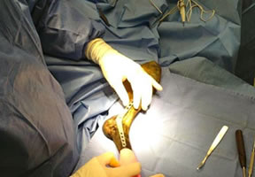 Cirurgia